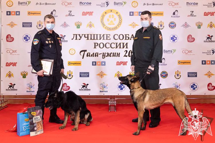 Кинолог Росгвардии из Дагестана и его служебная собака отмечены всероссийской премией профессионального мастерства