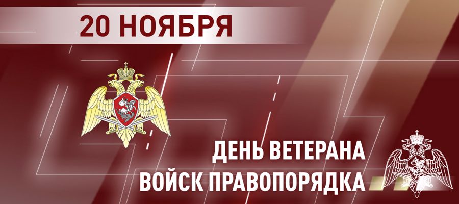 Генерал армии Виктор Золотов поздравил общероссийскую общественную организацию ветеранов войск правопорядка с 15-летием