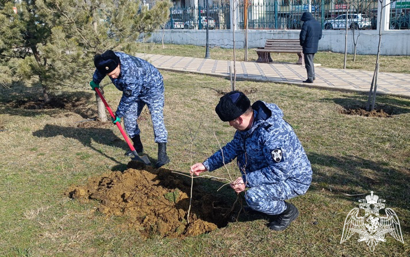 Росгвардейцы приняли участие в общегородском субботнике в Махачкале
