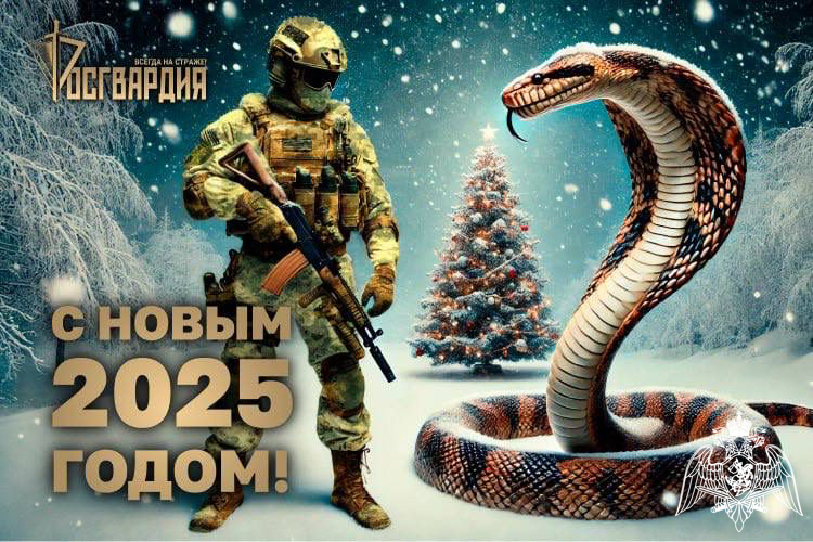 С Новым 2025 годом!