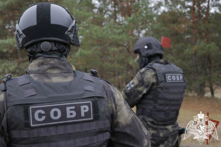 В Дагестане при содействии Росгвардии пресечена деятельность организованной преступной группы