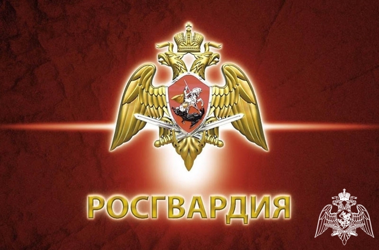 В Дагестане росгвардейцы провели для учащихся ведомственного профильного класса тематический урок ко Дню Конституции