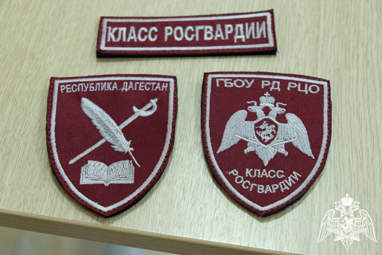 Начальник Управления Росгвардии по Республике Дагестан провел встречу с учащимися профильных классов