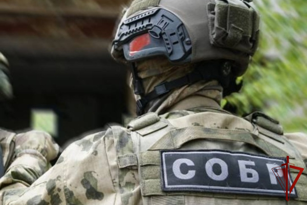 При силовой поддержке спецназа Росгвардии в Дагестане изъята крупная партия наркотиков