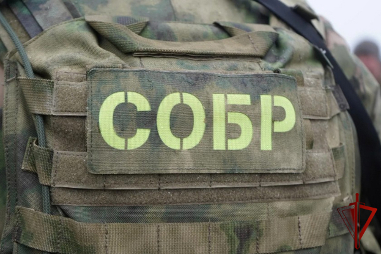В Дагестане при участии Росгвардии задержан подозреваемый в пропаганде экстремисткой символики