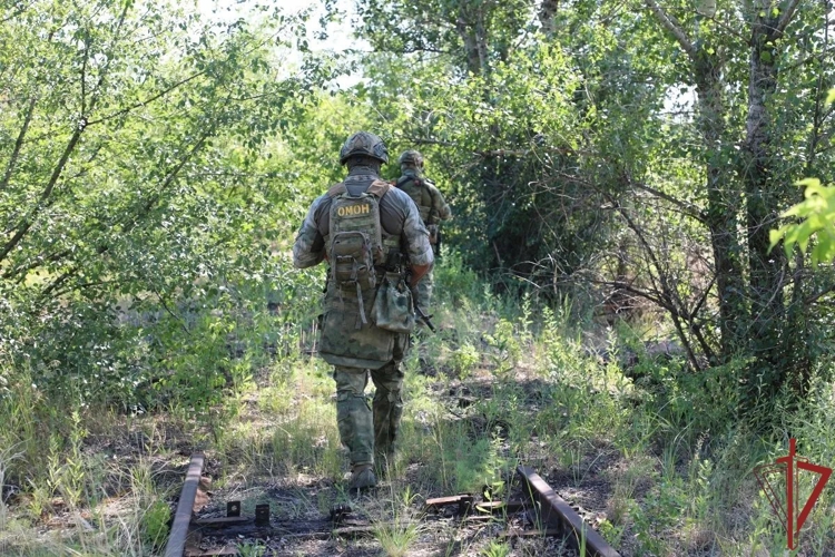 В ЛНР росгвардейцы обезвредили свыше 600 взрывоопасных предметов