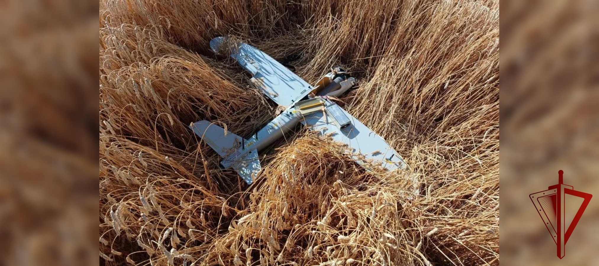 Росгвардейцы в Запорожской области нейтрализовали дронразведчик