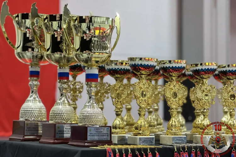 Определены победители и призеры чемпионата Росгвардии по комплексному единоборству