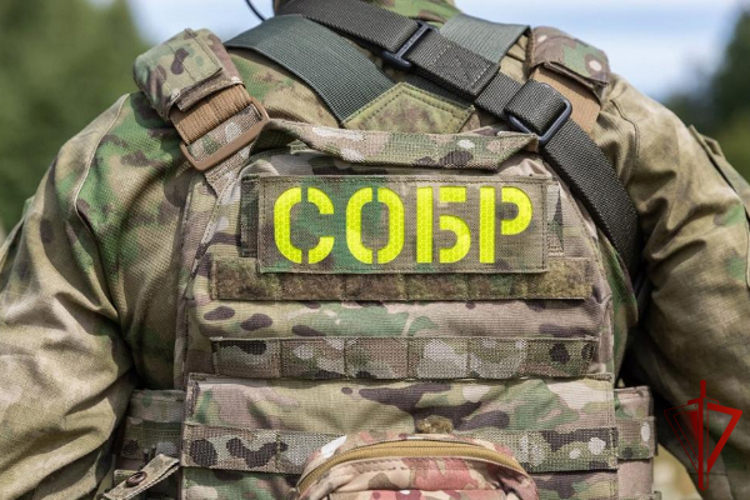 При участии спецназа Росгвардии в Дагестане задержаны подозреваемые в планировании террористического акта