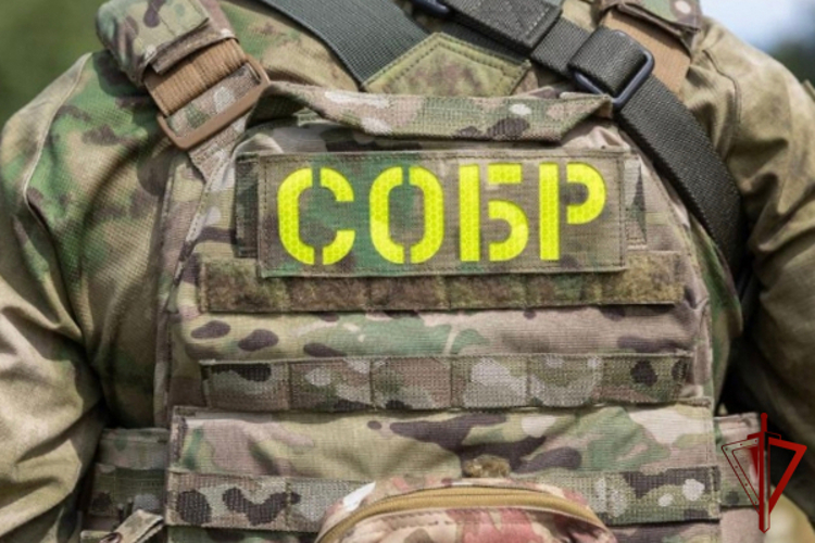 При участии Росгвардии в Дагестане задержаны подозреваемые в незаконном культивировании наркосодержащих растений